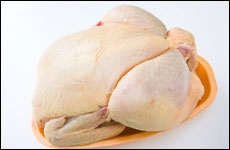 مرغ خام را نشورید، مسموم می‌شوید